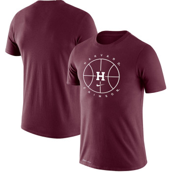 Men's - Harvard Crimson Nike Icon Legend Performance Crimson College Basketball T-Shirt